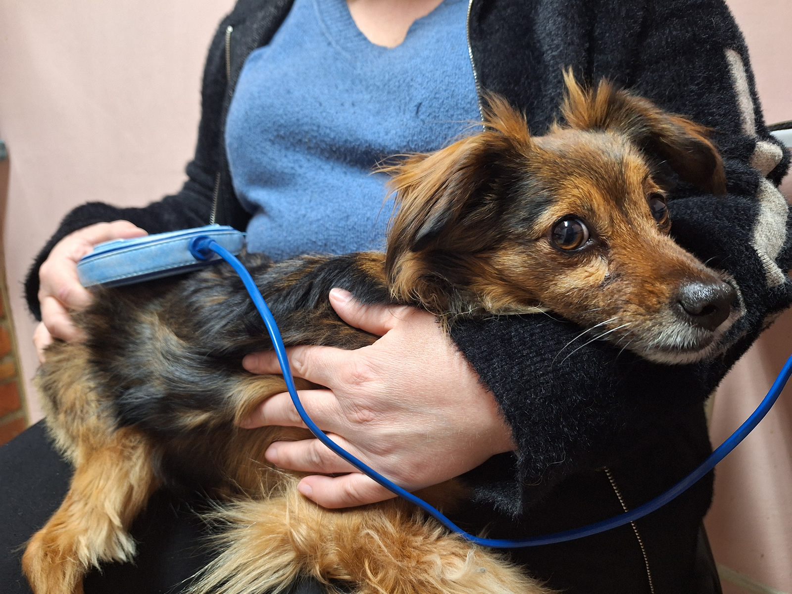 Zwyrodnienie kręgosłupa