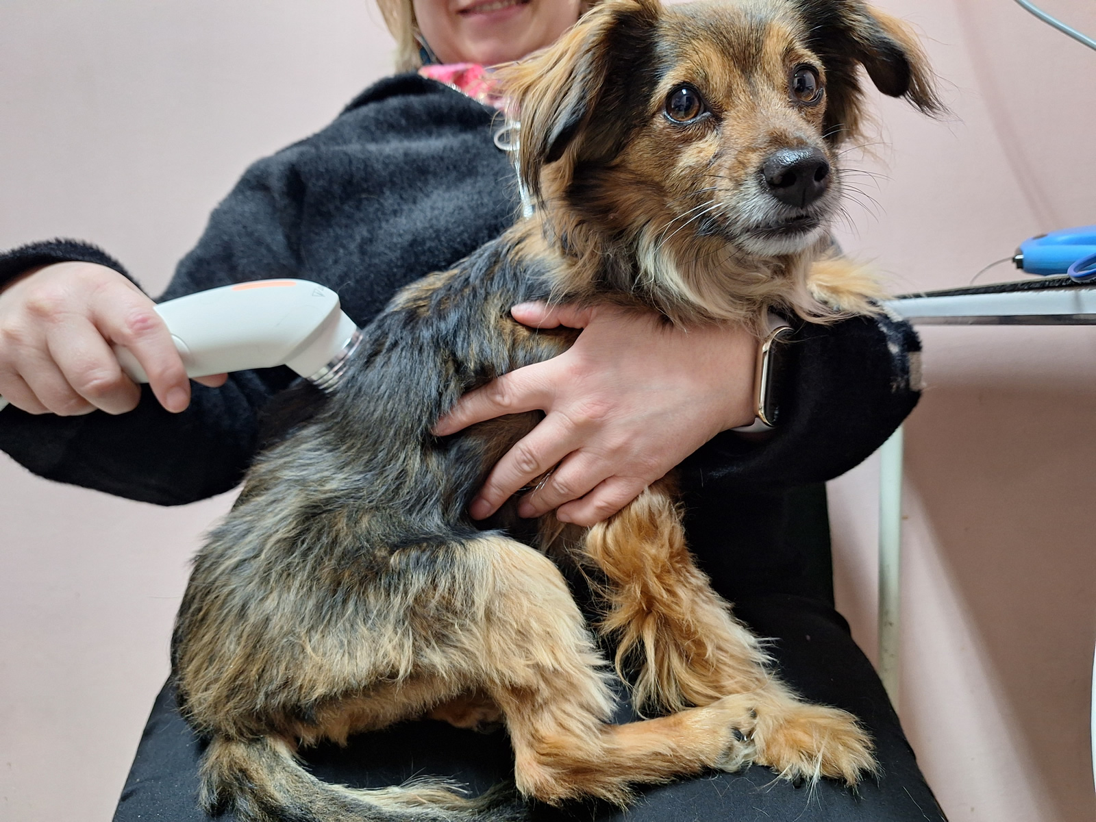 Zwyrodnienie kręgosłupa